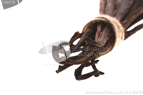 Image of vanilla beans