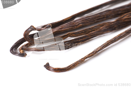 Image of vanilla beans