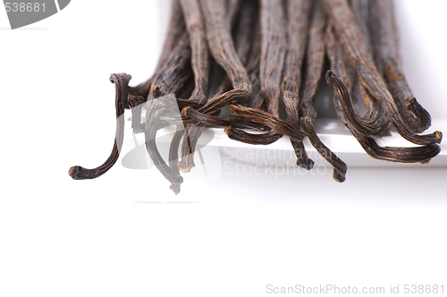 Image of vanilla beans
