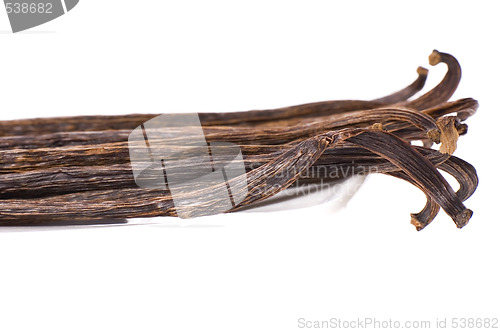 Image of vanilla beans
