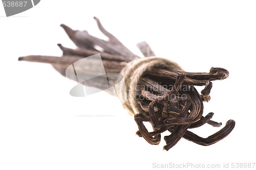 Image of vanilla beans