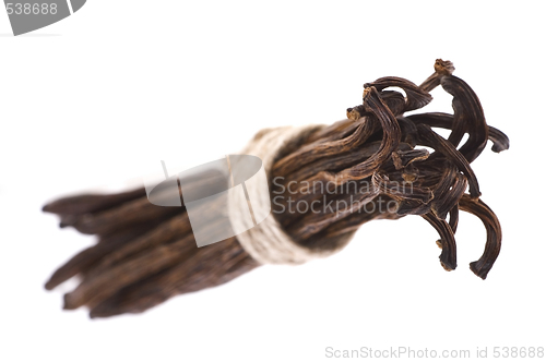 Image of vanilla beans