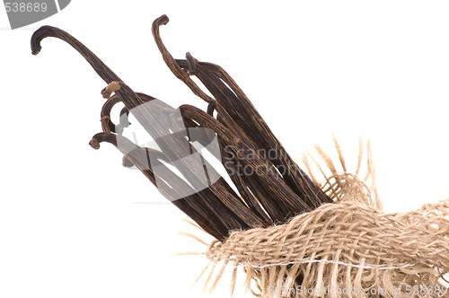 Image of vanilla beans