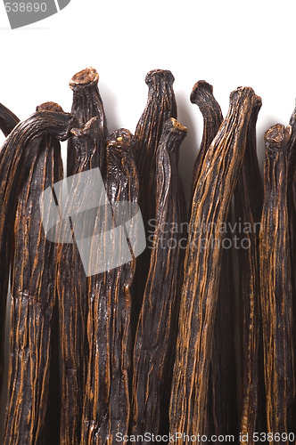 Image of vanilla beans
