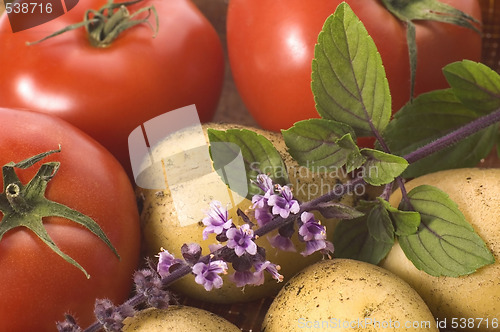 Image of cut fresh herbs and vegatables