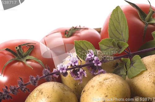 Image of cut fresh herbs and vegatables