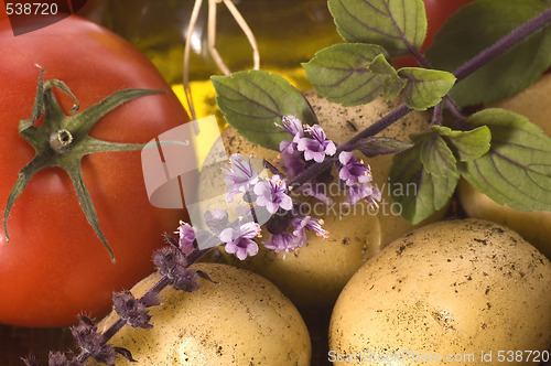 Image of cut fresh herbs and vegatables