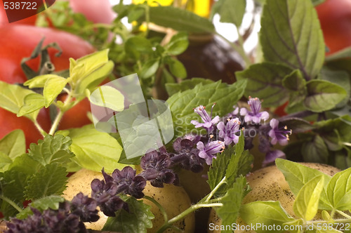 Image of cut fresh herbs and vegatables