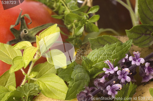 Image of cut fresh herbs and vegatables