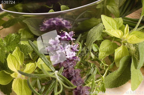 Image of chopping fresh herbs.