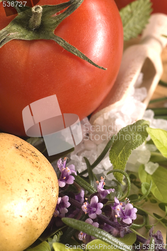 Image of cut fresh herbs and vegatables