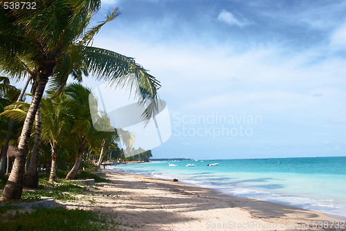 Image of Tropical beach in Brazil 