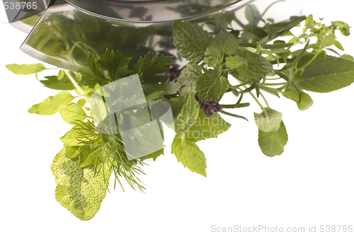 Image of chopping fresh herbs.