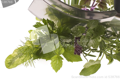 Image of chopping fresh herbs.