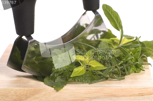 Image of chopping fresh herbs.