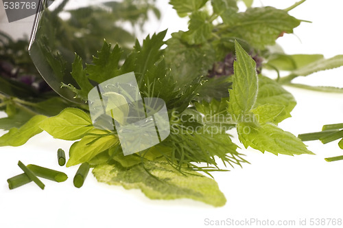 Image of chopping fresh herbs.