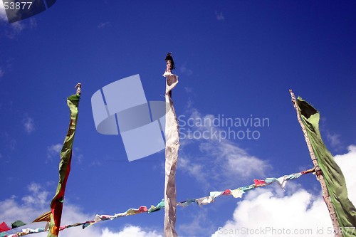 Image of flags in india
