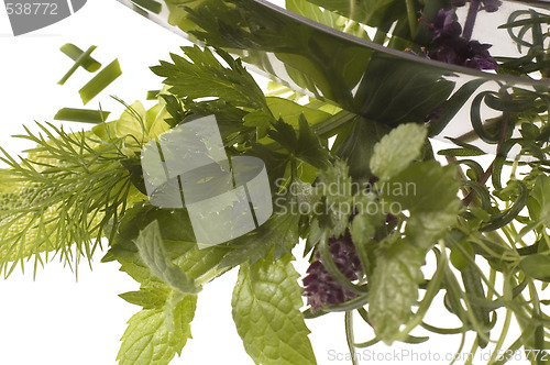 Image of chopping fresh herbs.