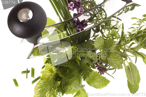 Image of chopping fresh herbs.