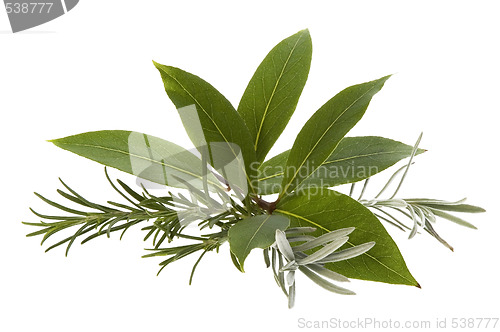 Image of fresh herbs. rosemary, lavender and bay leaf