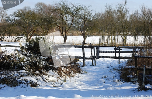 Image of Landscape in Winter