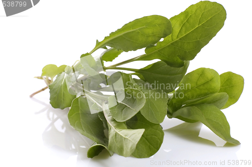 Image of fresh rucola