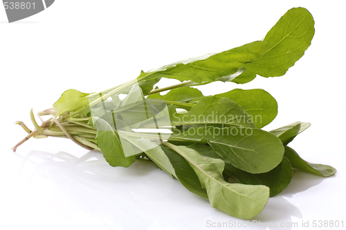 Image of fresh rucola