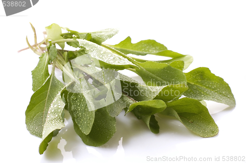 Image of fresh rucola