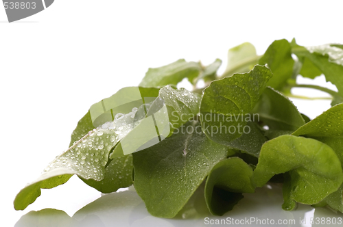 Image of fresh rucola