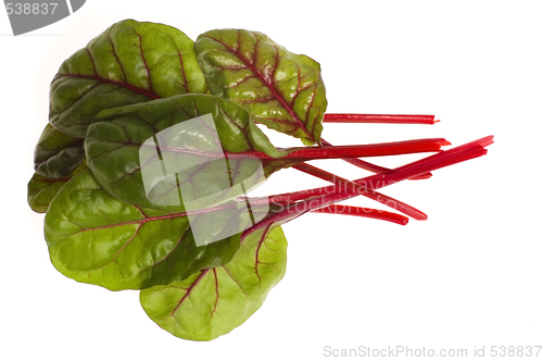 Image of fresh vegetables - spinach beet
