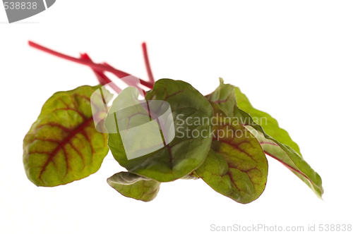 Image of fresh vegetables - spinach beet