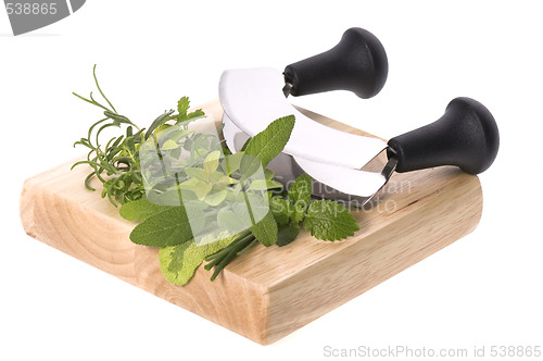 Image of chopping fresh herbs