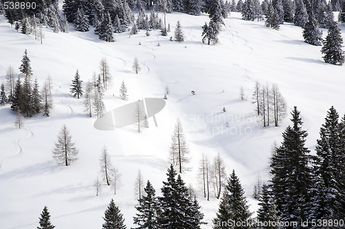 Image of winter