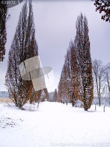 Image of Winter alley