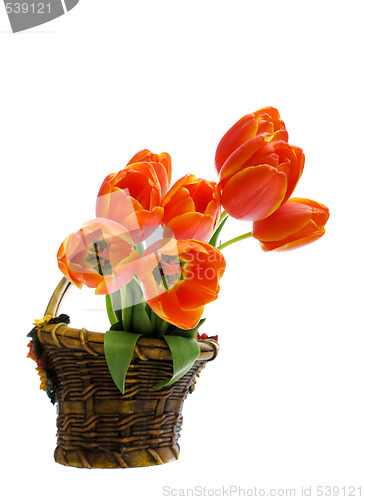 Image of Flower basket