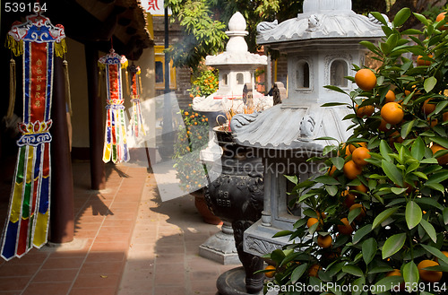 Image of Tran Quoc Pagoda in Hanoi