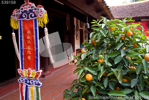 Image of Orange tree and religious pennant at Buddhist temple