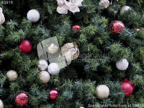 Image of Christmas Tree