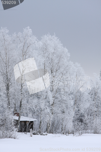 Image of House in winter