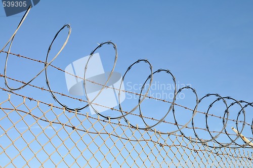 Image of Razor wire