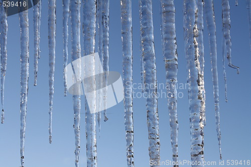 Image of Icicles