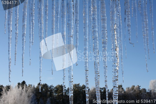 Image of Icicles