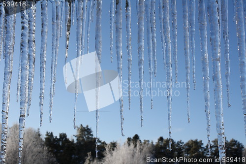 Image of Icicles