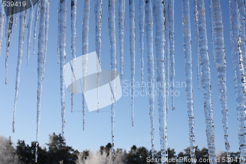 Image of Icicles