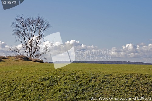 Image of Early spring