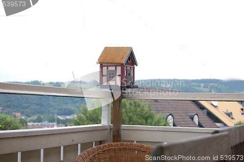 Image of Birds nest