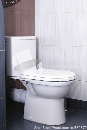 Image of WC in modern hotel