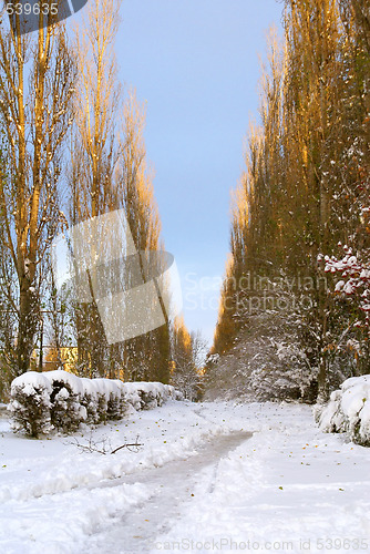 Image of Winter lane