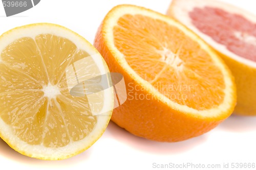 Image of  lemon, orange and grapefruit