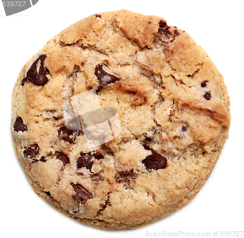 Image of chocolate cookies